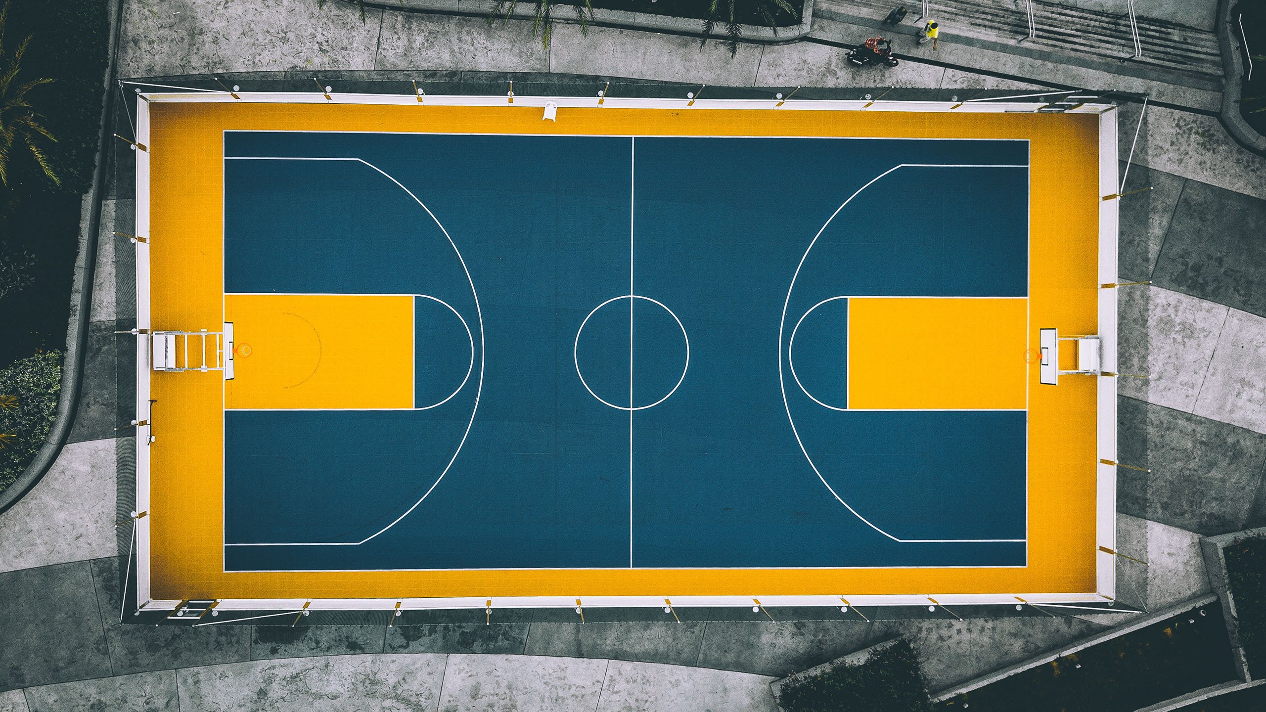 重磅，王楚钦跨界宣言化身NBA大杀器？|九游体育平台